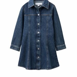 Zara  denim dress.